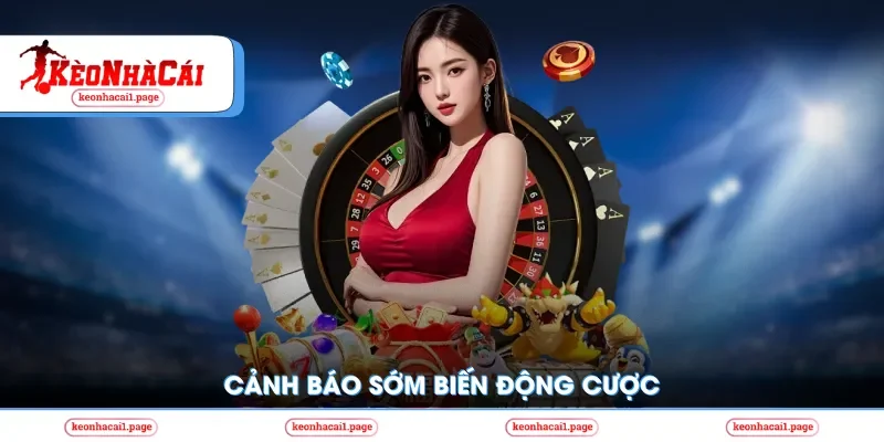 GO8 cảnh báo sớm biến động cược